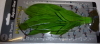 13cm Silk Plant - Amazon Broad Leaf