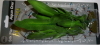 13cm Silk Plant - Green/White Sword
