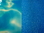 Tropical Reflections / Blue Bubbles Reversible Background (18")