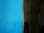 Blue / Black Reversible Background (24")